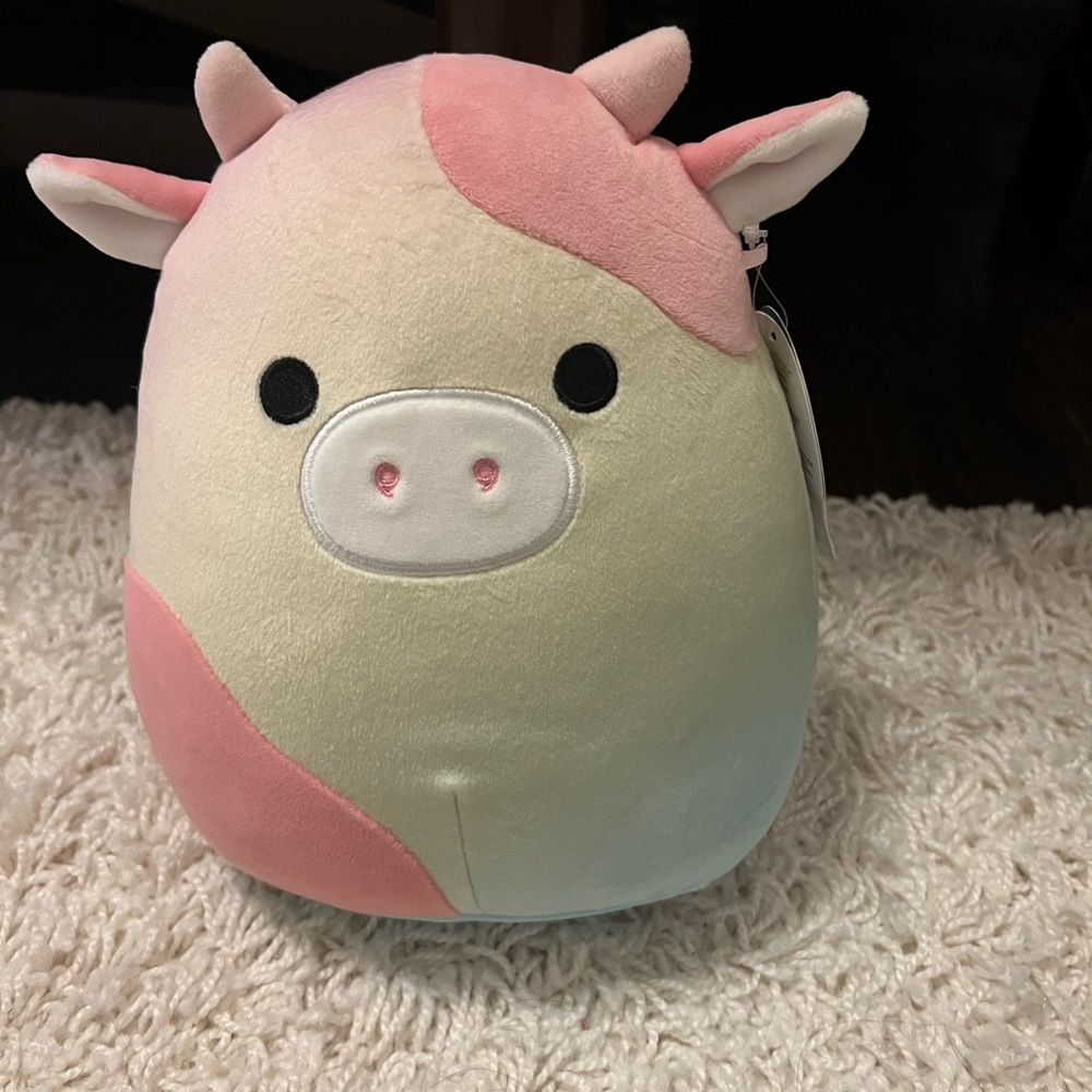 Caedyn the cow
